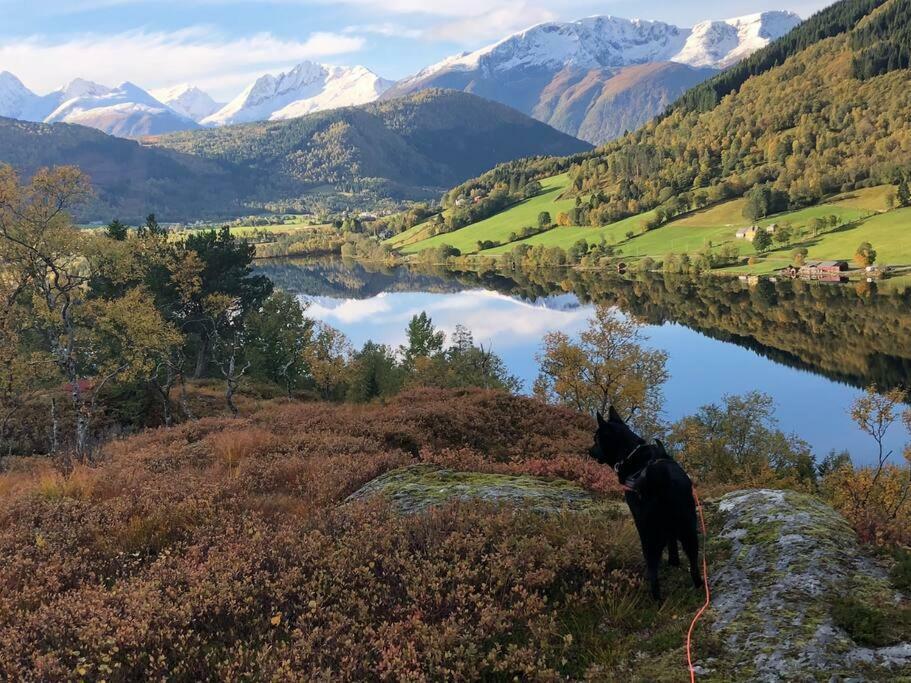 Minihus Med Drommeutsikt Til Sunnmorsalpene Lägenhet Aure  Exteriör bild